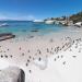 Boulders Beach