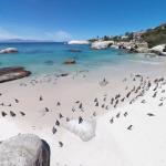 Boulders Beach