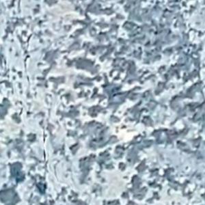 A-10 Warthog Crash Site (Unconfirmed) (Google Maps)