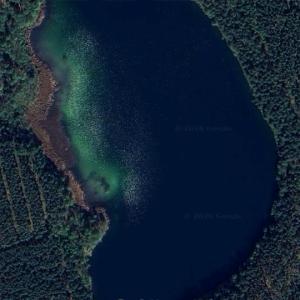 Gołyń (Google Maps)