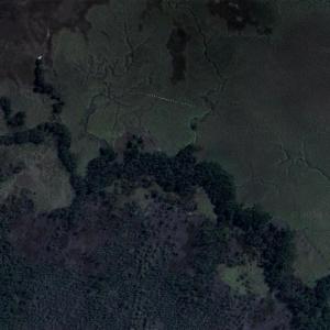 Elephant Island (Google Maps)