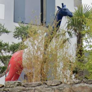 Giraffe (StreetView)