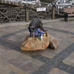 Rescue dog's monument