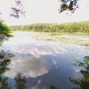 Nienawiskie (StreetView)