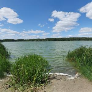 Maciejak (StreetView)