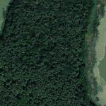 Chobienickie Lake Island