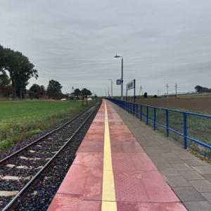 Grąblewo (StreetView)