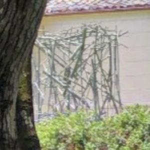 'Roark' by Charles Arnoldi (StreetView)