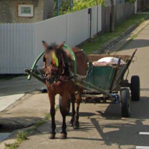 Horse drawn vehicle (StreetView)