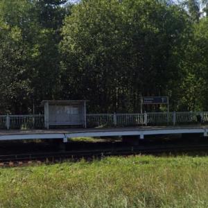 Tarkhovka railway station (StreetView)