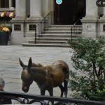 Donkey