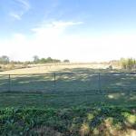 Morrison Cemetery