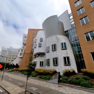 Stata Center at MIT (StreetView)