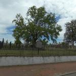 Hebrew Cemetery (Richmond, Virginia)