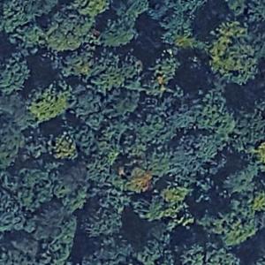 Cook Cemetery (Google Maps)