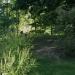 Mount Pleasant Cemetery