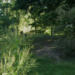 Mount Pleasant Cemetery