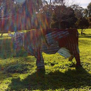 'Cow (Red)' by Jeff Thomson (StreetView)