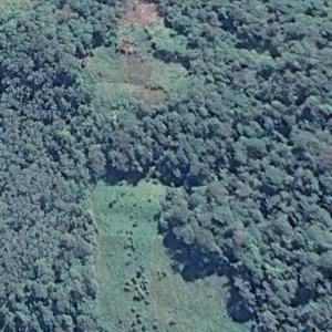 2026 Colombia earthquake epicenter (Google Maps)