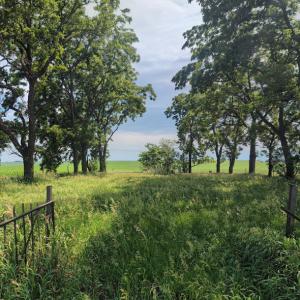 Bragstad Family Cemetery (StreetView)