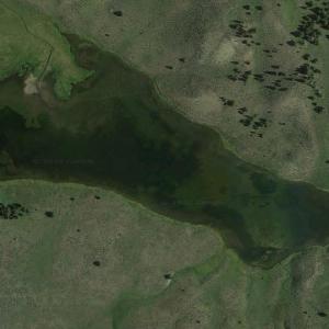 Albino Lake (Google Maps)