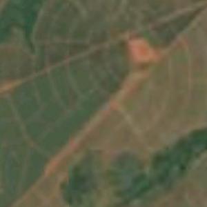 Boko Ag airfield (Google Maps)