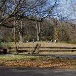 Beech Grove Cemetery