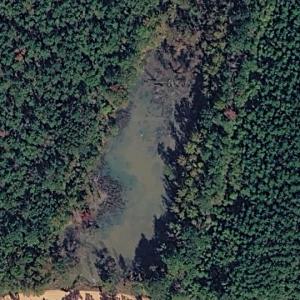 Pugh Lake (Google Maps)
