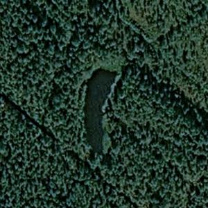 Vesikodanlampi (Google Maps)