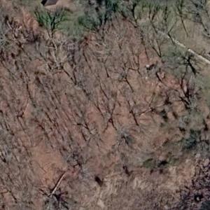 Thomas Lot (Google Maps)