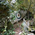 Crashed Avro 694 Lincoln