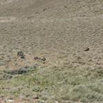 Consolidate B-24 Liberator Crash Site (Street View)
