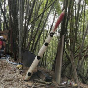 Lauda Air Flight 004 Crash Site (Street View) (StreetView)