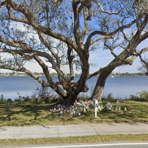 The Holly Hill Gnome Tree (StreetView)