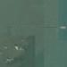 Hong Kong&ndash;Zhuhai&ndash;Macau Bridge (world's longest sea crossing)