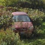 Ford Taurus