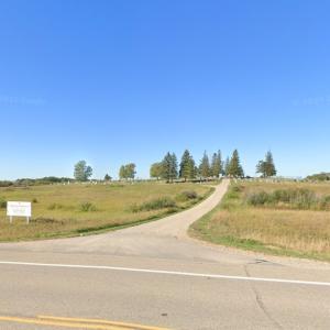 Calvary Cemetery (StreetView)