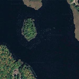 Brown Lake (Google Maps)