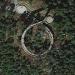 Kuwohi (ᎫᏩᎯ) / Clingman's Dome
