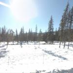 Snow