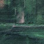 The Day the Music Died