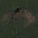 World's Largest Beaver Dam